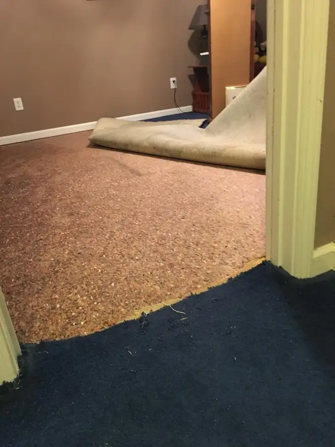 Carpet pad removal revealing water damage during Drying & Dehumidification in Grosse Pointe