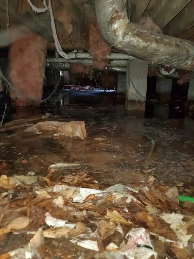 Crawl space flood assessment for Commercial Water Damage Restoration in Grosse Pointe
